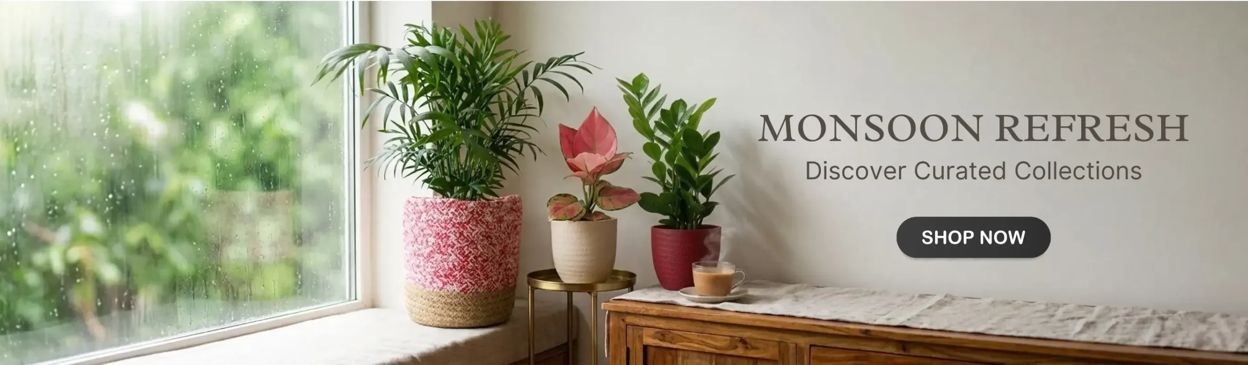 imgi_4_indoor-plant-plants-Monsoon-month-sale-2026-banner-D-greenkin