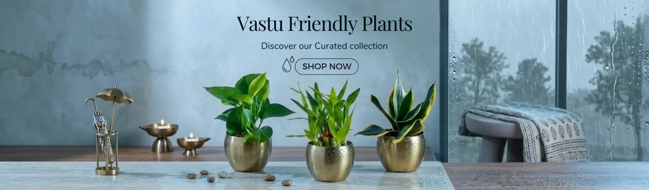 imgi_5_vastu-plants-set-monsoon-month-sale-2026-banner-D-greenkin